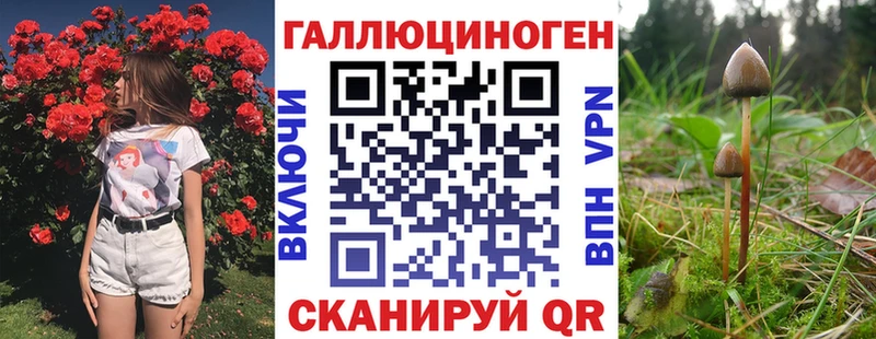 Псилоцибиновые грибы Magic Shrooms  MEGA tor  Дорогобуж 