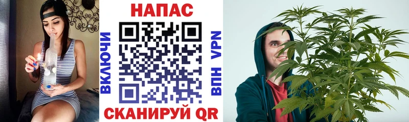 Каннабис семена  магазин  наркотиков  Дорогобуж 